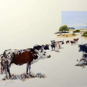 Zanne's Small Studio — Peeping Calf