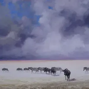 Ian Van Zyl — Crossing the Pan