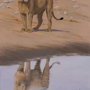 Paul Dixon — "A Moment of Reflection"