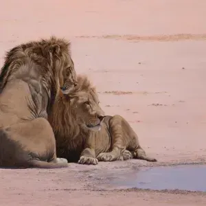 Paul Dixon — "Waterhole Guardians"