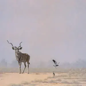 Paul Dixon — "African Morning, Nature's Splendour"