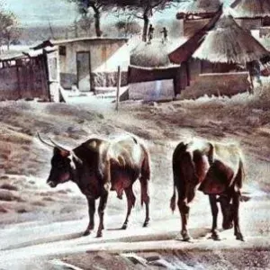 Izidro Duarte — African Village