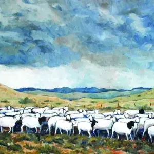 Alta Van Zyl — Sheep in the Karoo