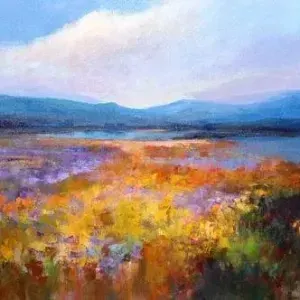 Diane Erasmus — 16. Amazing Namaqualand in full bloom