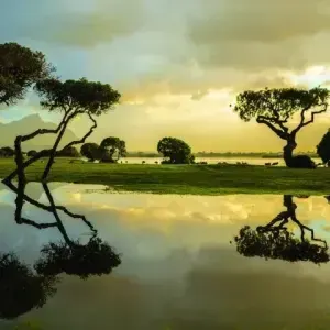 Andy Nix — The World between the Worlds