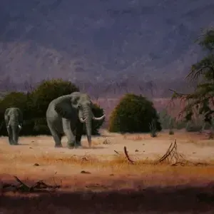 Barry Thomas — Elephant Walk
