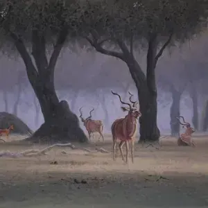 Barry Thomas — Mana Kudu