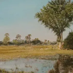 Chris Watcham — Lechwe under a Fig Tree, Botswana