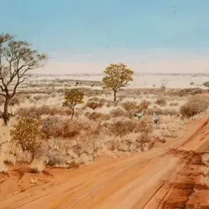 Chris Watcham — Mabua Sehube Pan, Botswana