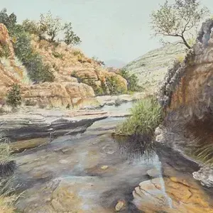 Chris Watcham — Rock Pool on top of Magaliesberg