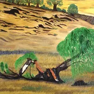 Chrissie Boltman — The Willow Tree
