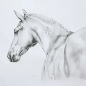 Clea Witte — Flicka