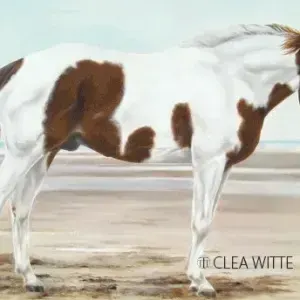 Clea Witte — Umenno