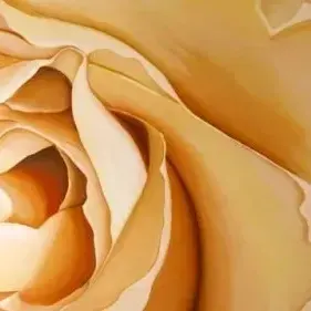 Sharon Welman — Cream Rose