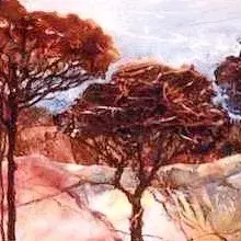Cheryl Neave — Dawn Forest