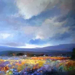 Diane Erasmus — 22. Distant Farm near Nieuwoudsville