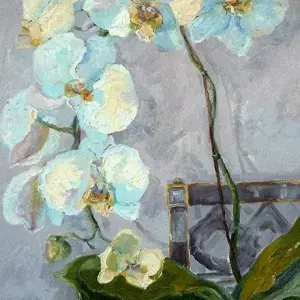 Elinor Carleton-Smith — White Phalaenopsis Orchid