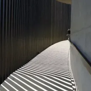 Erica Fraser — Erica-Fraser7