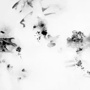 Geneve Eloff — Defamiliarisation 7 - Internalising Nature, 2011