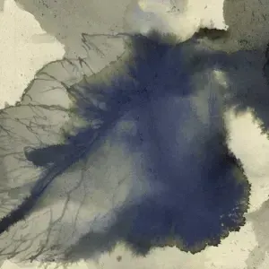 Geneve Eloff — Defamiliarisation - In the Details, 2011, Close up of Plant Studies