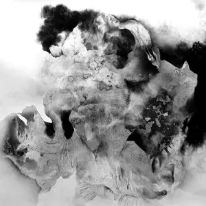 Geneve Eloff — Defamiliarisation, Excavating Polarities 1, 2011