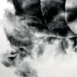 Geneve Eloff — Defamiliarisation, Viewing Proximity 2, 2011