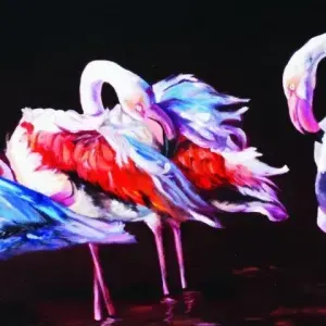 Hilda Beukes — Pink Desire