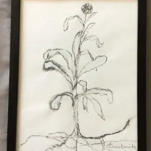 Sandy Chaitowitz — Flower