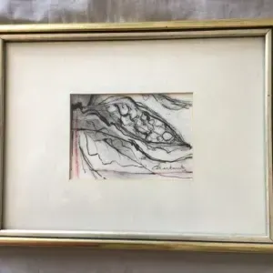 Sandy Chaitowitz — Plant