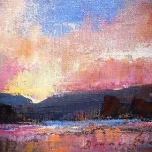 Diane Erasmus — 24. Impressions of Namaqualand I
