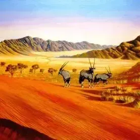 Don Bell — Kalahari Nomads Gemsbok Sousousveld
