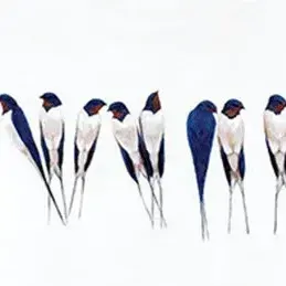 Kirsty May Hall — Barn Swallows on a Wire