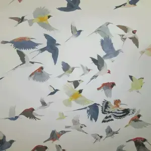 Kirsty May Hall — Birds