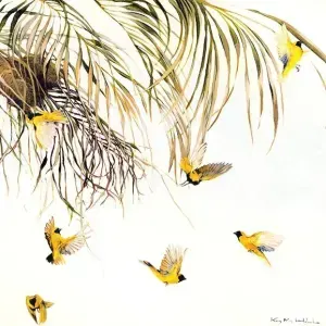 Kirsty May Hall — Golden Weavers