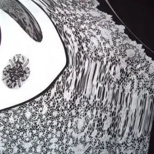 Hercules Human — Lace series (2009)