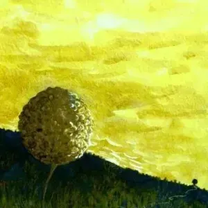 Kuben Pillay — Lonely Tree 2005
