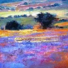 Diane Erasmus — 21. Macroview of Namaqualand