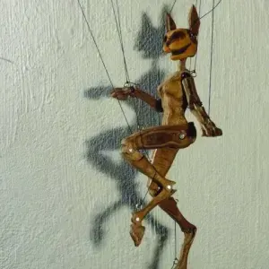 Mienke van Zyl — Virgin Hare