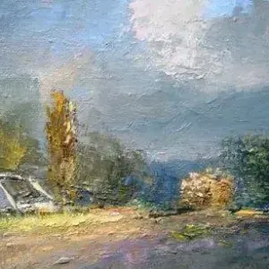Diane Erasmus — 96. Misty morning