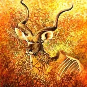 Don Bell — Mopani Kudu
