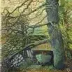 Don Bell — Mylor Boat Shed