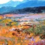Diane Erasmus — 77. Namaqualand Impression (No 4709)