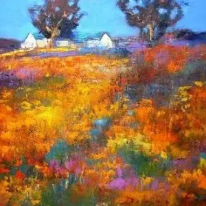 Diane Erasmus — 20. Namaqualand in full bloom