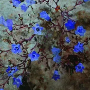 Annelie Van der Vyver — Annelie Venter - Song Sung Blue - Wahlenbergia paniculata (Blou Klokkie)
