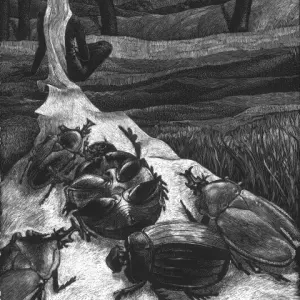 Charlotte Janse van Vuuren — Charlotte Janse van Vuuren - Ode to a Fallen Hero