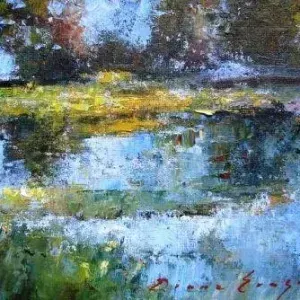 Diane Erasmus — 8. Reflections, Namaqualand 1