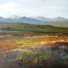 Diane Erasmus — 117. Swartberg Painting on Exhibition at Crouse Art and at the Home and Garden Show, Durban July 2010