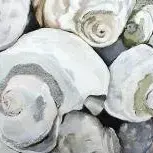 Sharon Welman — Shells 001