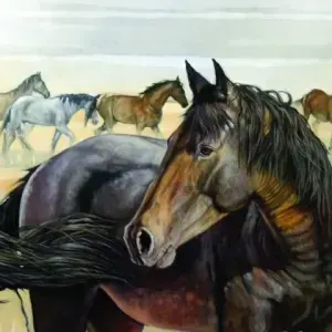 Sue Akerman — Desert Horses