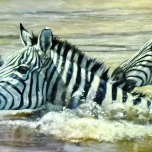 Sue Akerman — Through the Waters